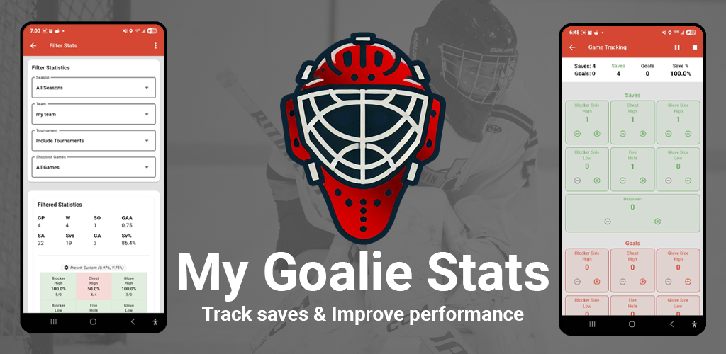 My Goalie Stats App Interface